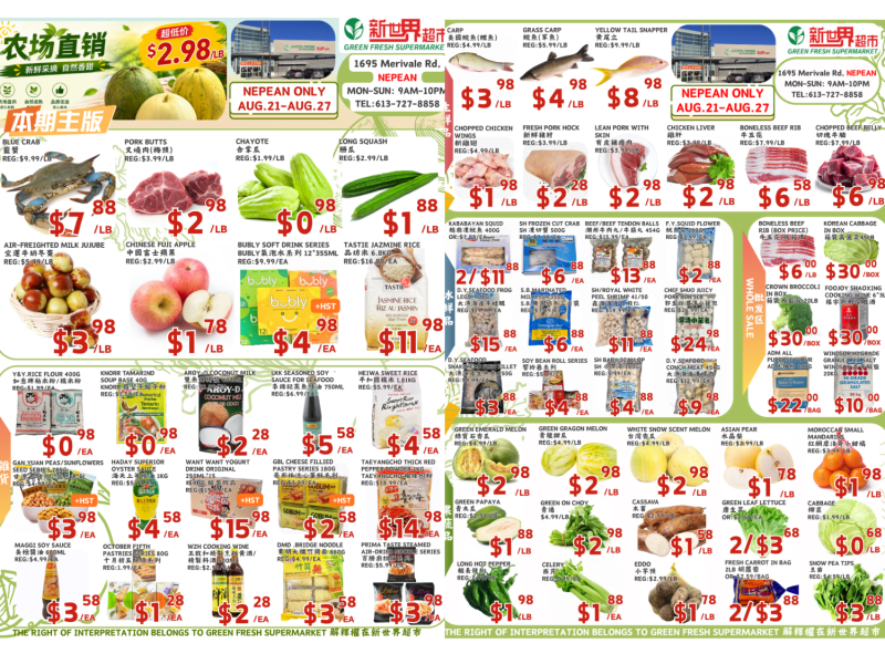 nepean-821-827-flyer