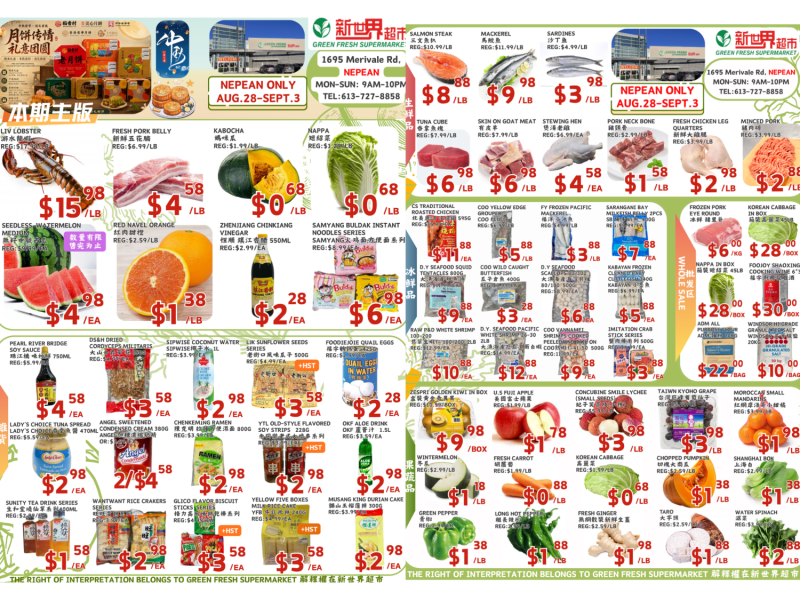 nepean82893flyer